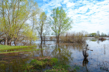 Fototapeta na wymiar Spring flood on the river. High water