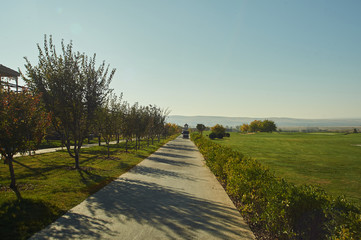 Beautiful view of the green golf field