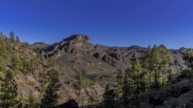 Time-lapse of a rock volcanic formation and surrounding nature, capturing trees and shrubs moving in strong wind during a sunny afternoon with a blue sky in the valley area of the Gran Canary Island.