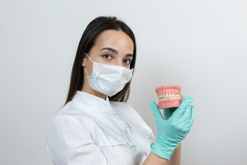 Girl doctor dentist in a white coat holds a mock of teeth.