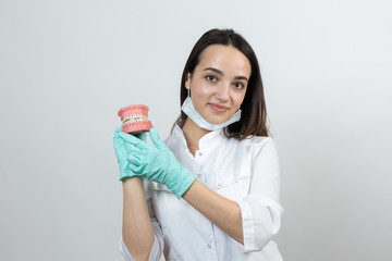 Girl doctor dentist in a white coat holds a mock of teeth.