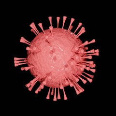 3d render of Corona virus isolated on black background that causing the infection of MERS, influenza and SARS that outbreak around the world.