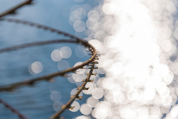 Fototapeta premium Rusty nato wire, rusty barbed wire, water in the background, border, abstract, Wide open lens hood