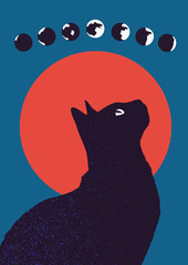 Katze und Mond