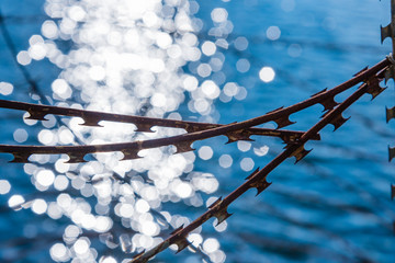 Fototapeta premium Rusty nato wire, rusty barbed wire, water in the background, border, abstract