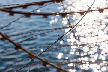 Fototapeta premium Rusty nato wire, rusty barbed wire, water in the background, border, abstract