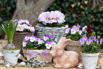 Osterdekoration mit Osterhasen und Frühlingsblumen in Lila und Weiß