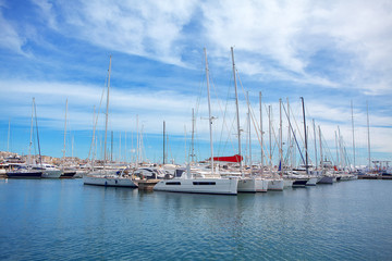 Fototapeta premium white yachts in the blue bay 