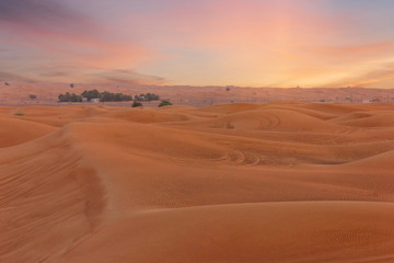 Fototapeta na wymiar Sand desert sunset natural landscape view, United Arab Emirates, Dubai.
