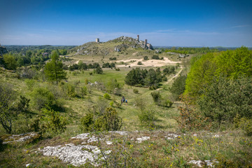 Fototapeta premium View on the ruins of ancient medieval castle in Europe on in the forest on the mountain
