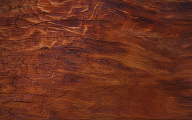 Tree wooden background