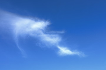 Lonely cirrus intortus cloud in the blue sky