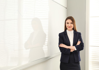 Professional business trainer near whiteboard in office