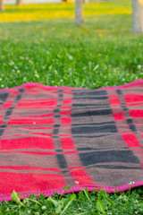Fototapeta na wymiar Picnic or Beach mat and grass Background in summer