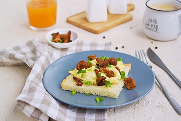 Tender scramble omelet on crispy white bread toast with fried chanterelles on a gray plate on a light concrete background.