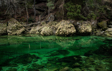 Rio de montaña con aguas cristalinas 