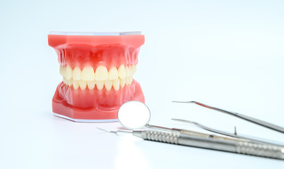 Dental model and dental instruments in white background