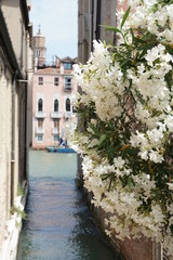 street in venice italy