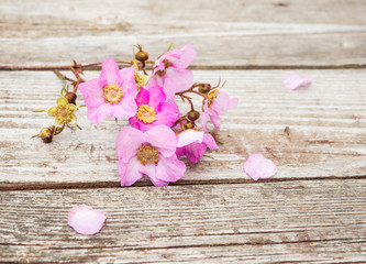 Pink Flowers and Petals on rustic old wooden table. Vintage Floral background.
