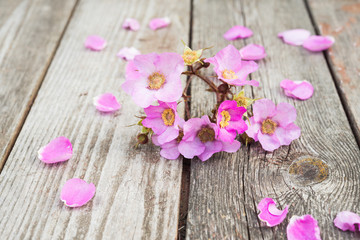 Pink Flowers and Petals on rustic old wooden table. Vintage Floral background.