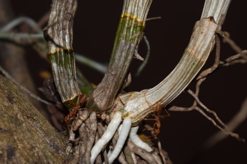 Nature speaks for the heart