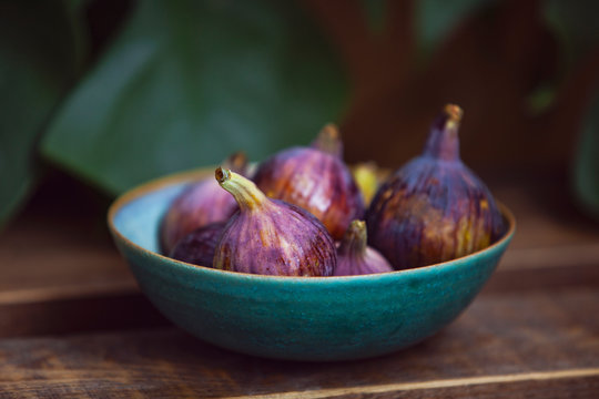 Detail of Figs