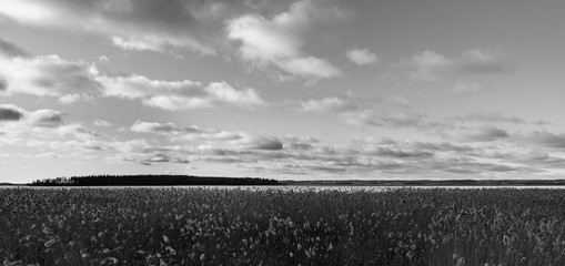 Obraz premium Black and white finnish landscape