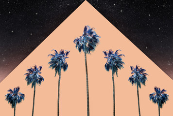 Palm Trees in Space