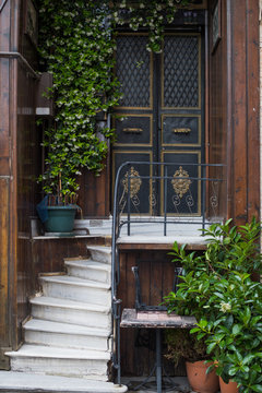 Classical door in Istanbul - stony curved ladder and plants in the pots