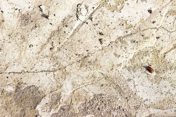 dirty grey concrete material with small stones for the background
