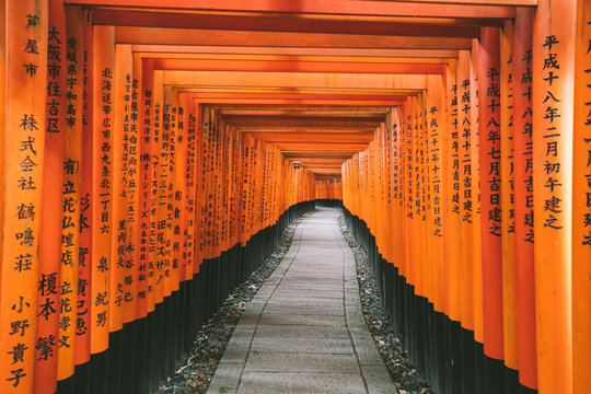 path through orange gates