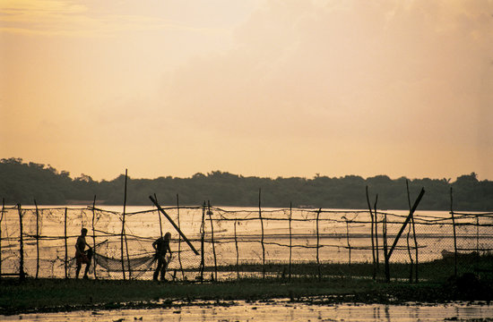 Fishing at low tide in the river