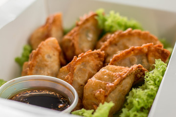 gyoza empanada comida deliciosa asiatica y lechuga  desde arriba con salsa de anguila