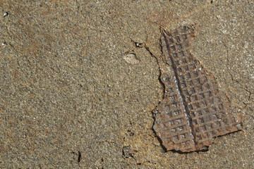 Rusty metal on concrete soil, Tokyo