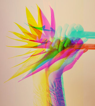 Digital glitch effect, woman's hand holds a strelitzia flower on a beige background.