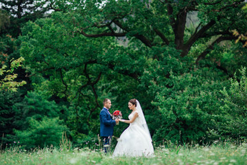 Happy Newlywed woman and man embracing and kissing in green park. Loving wedding couple outdoor. Bride and groom. Bride and groom at wedding day walking outdoors on summer green nature.