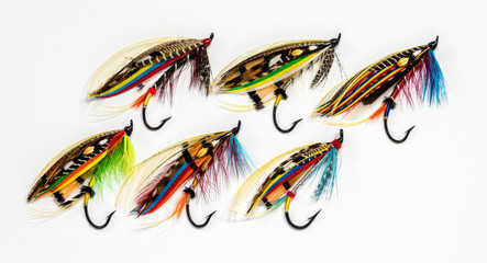 Six beautiful and colourful fly fishing flies on a white background