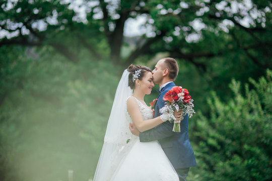 Wedding photo shoot. Bride and groom in the park each other. Newlyweds in love in a green park. Romantic, fairytale, happy newlywed couple hugging and kissing in a park, trees in background
