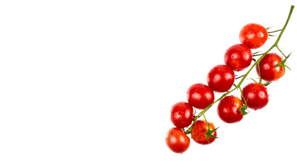 A branch of cherry tomatoes on a white background isolates