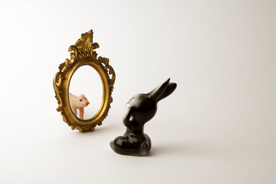 China rabbit looking at self in mirror with pig reflection