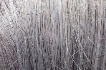 human hair in closeup details