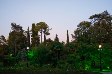 Evening summer park illuminated by lights - Riviera, Sochi