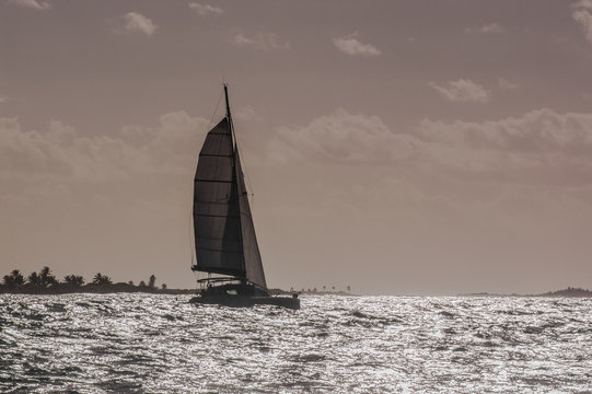 Catamaran on silver water