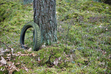 llegal garbage thrown out in the autumn forest. Example of dumping hazardous waste old mossy tire.