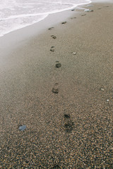 footprints on the wet sand from the sea wave on the beach