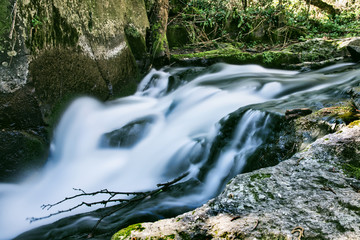 Long Exposure of water come down to the river in the forest.