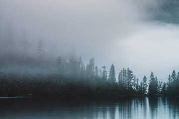 Obraz na płótnie Canvas Silhouettes of pointy fir tops on hillside along mountain lake in dense fog. Reflection of coniferous trees in shiny calm water. Alpine tranquil landscape at early morning. Ghostly atmospheric scenery