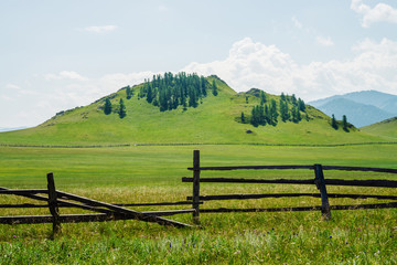 Fototapeta na wymiar Beautiful sunny landscape with green forest mountain and vast field with long fence. Hill with coniferous trees on top. Vivid scenery with flat field behind wood fence in mountains. Scenic alpine view