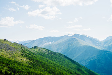 Beautiful aerial view to green forest hillside and great snowy mountains. Awesome minimalist alpine landscape of vast expanses. Wonderful vivid scenery with green mountain with coniferous forest.