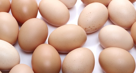 Eggs organic isolated on white background and texture